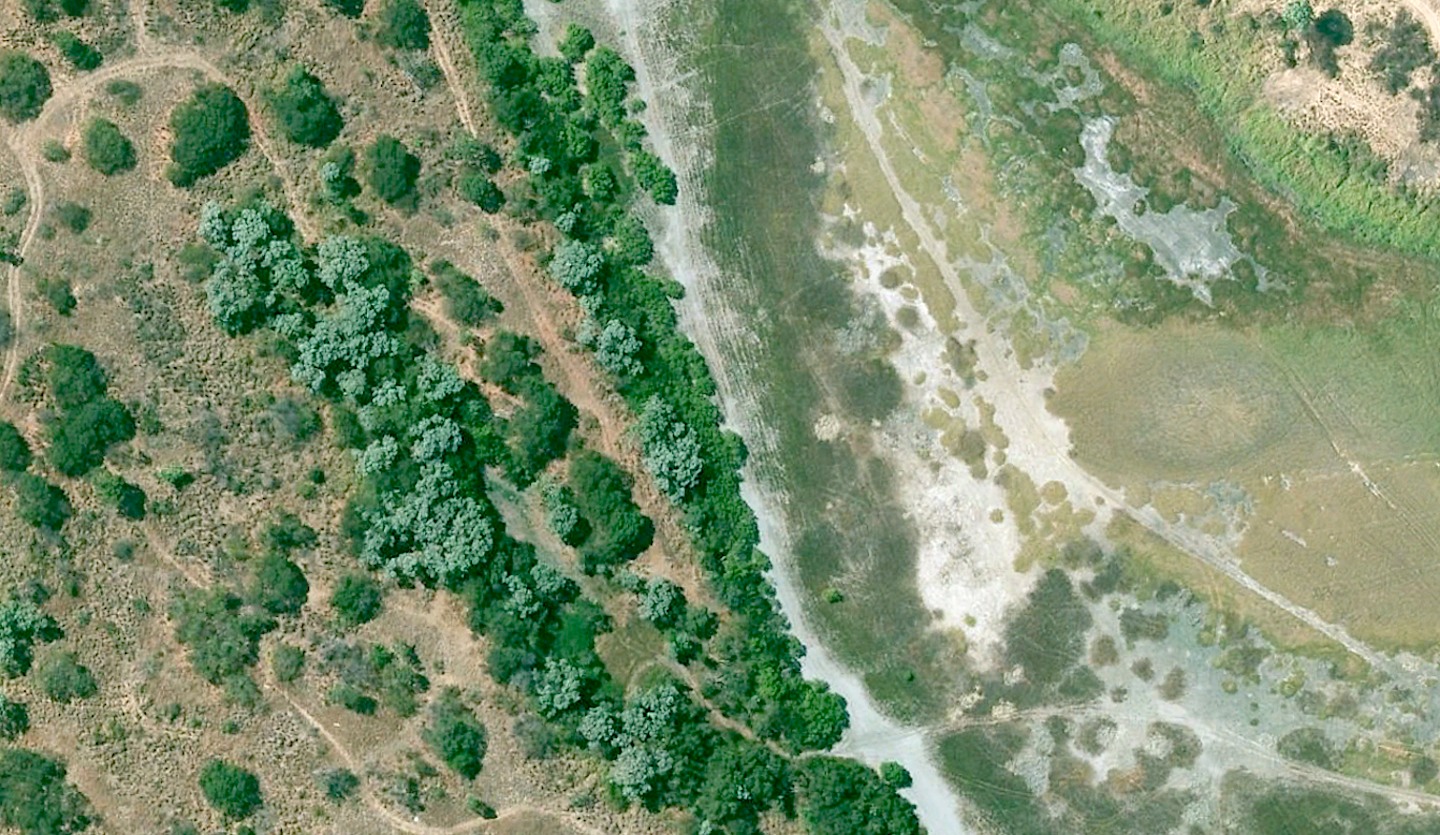 Rowes Bay Wetlands